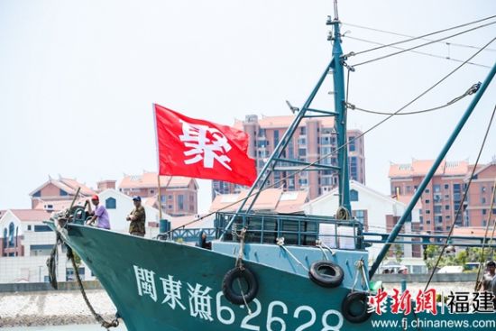 东山千艘渔船插满聚字旗驶向远海 东山千艘渔船插满聚字旗驶向远海